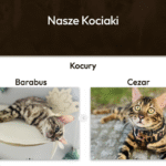 Obraz6